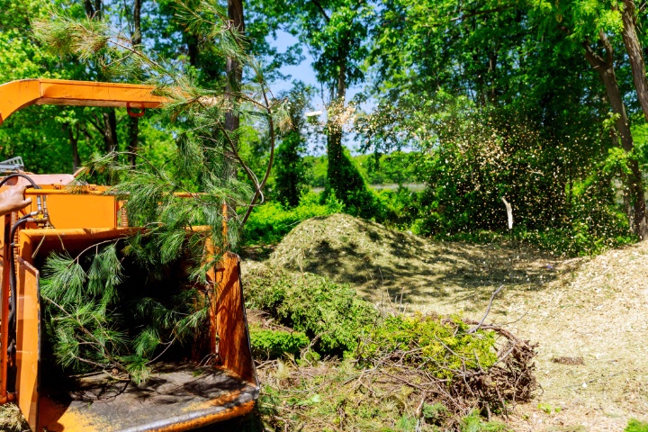 Manassas Land Clearing - Tree Service - Timber Works Tree Care